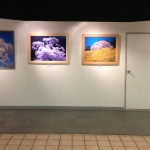 IMG_0299 (800x491)