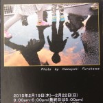 ぼたん_2941