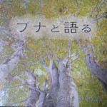 ブナ写真集_3067