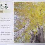 ブナ写真展_3065