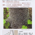 樹