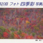 四季彩