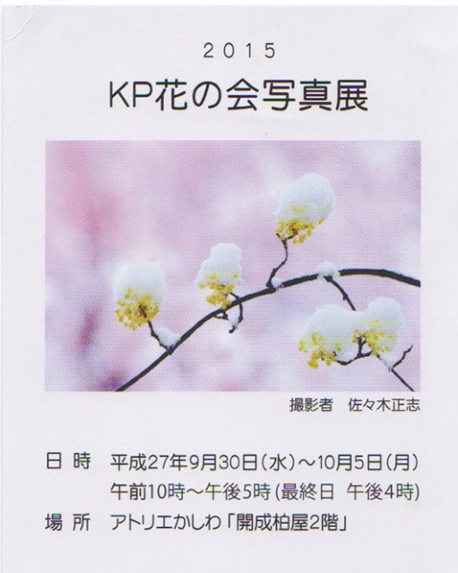 KP花の写真展