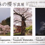 三春の桜展_3112