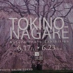 写団薬師展_3375