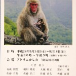 デジ研展案内_3513