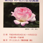 KP花_3527