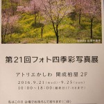 四季彩_3526