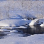 朝の川面_6672