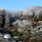 街中雪景色_2618