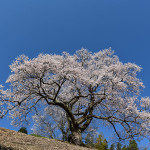 光岩寺01_4530