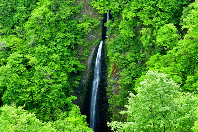 ｍ新緑のつむじ倉滝_2922