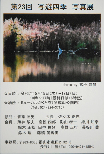 写友四季展_6397