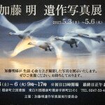 加藤明展_6396