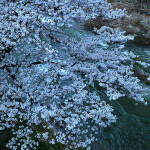 m穴原温泉_9164