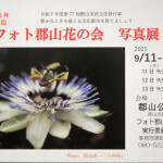 花の会展_6417