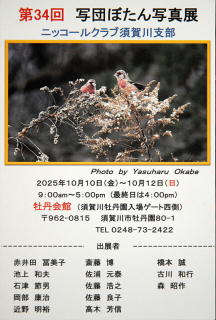 ぼたん展_6428