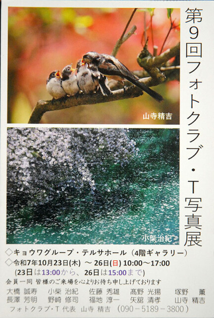 フォトT展_6437