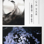 酒井なみ展表_6450