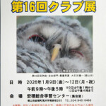 読売民友クラブ展_6449