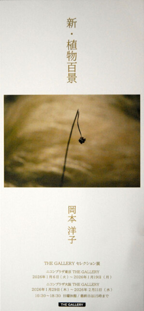 岡本洋子展_6454