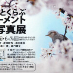 モーメント展