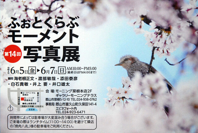 モーメント展